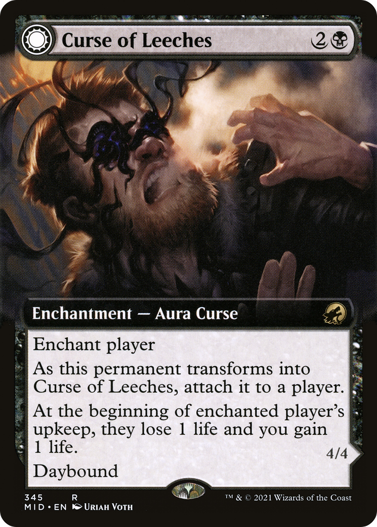 Curse of Leeches (Extended Art) (MID-345)  - Innistrad: Midnight Hunt: (Extended Art, Double Faced Transform)