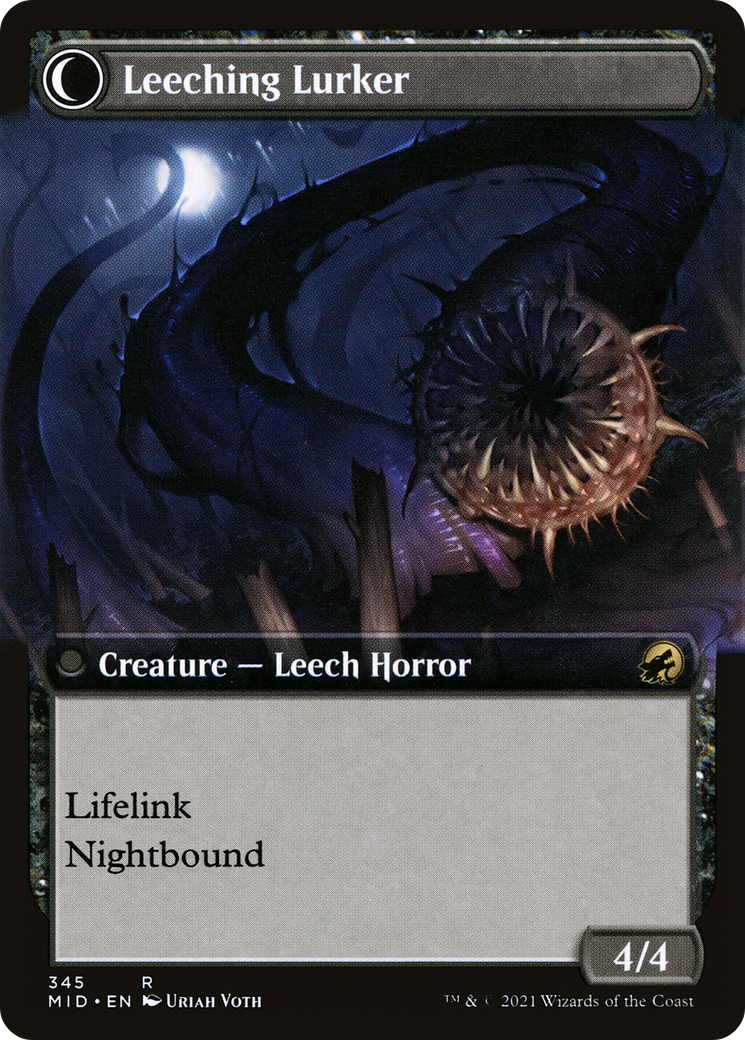 Curse of Leeches (Extended Art) (MID-345)  - Innistrad: Midnight Hunt: (Extended Art, Double Faced Transform)