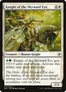 Knight of the Skyward Eye (A25-019)  Foil - Masters 25