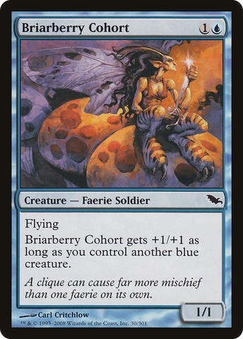 Briarberry Cohort (SHM-030)  Foil - Shadowmoor
