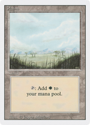 Plains (B) (3ED-294)  - Revised Edition