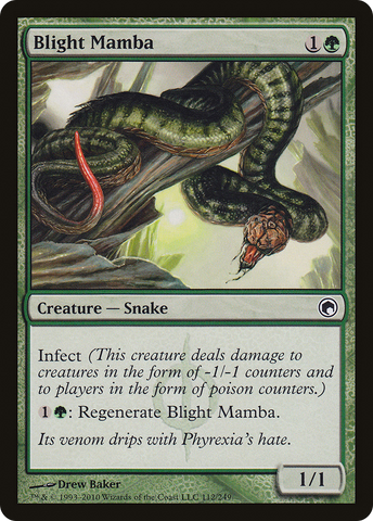 Blight Mamba (SOM-112)  - Scars of Mirrodin