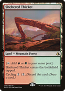 Sheltered Thicket (AKH-248)  - Amonkhet