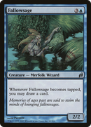 Fallowsage (LRW-063)  - Lorwyn