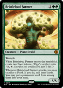 Bristlebud Farmer (BIG-017)  - The Big Score