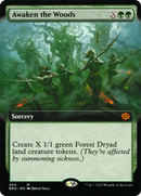 Awaken the Woods (Extended Art) (BRO-344)  - The Brothers' War: (Extended Art)