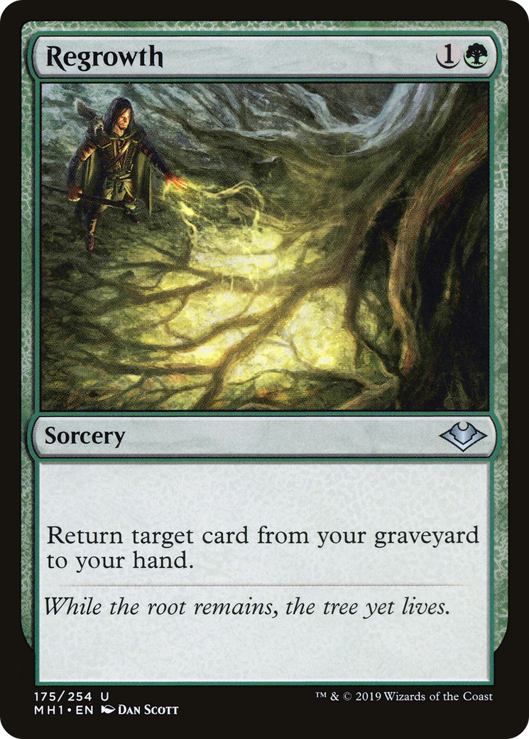 Regrowth (MH1-175)  Foil - Modern Horizons
