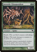 Juvenile Gloomwidow (SHM-121) - Shadowmoor Foil