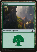 Forest (GRN-264)  Foil - Guilds of Ravnica