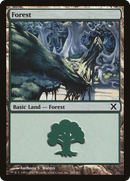 Forest (380) (10E-380)  Foil - Tenth Edition