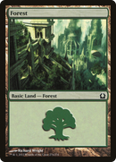 Forest (274) (RTR-274)  Foil - Return to Ravnica