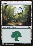 Forest (STX-374)  Foil - Strixhaven: School of Mages