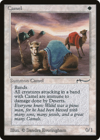 Camel (ARN-)  - Arabian Nights