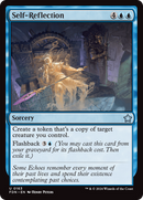 Self-Reflection (FDN-163)  - Foundations