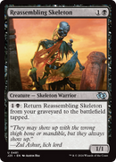 Reassembling Skeleton (J25-481)  - Foundations Jumpstart
