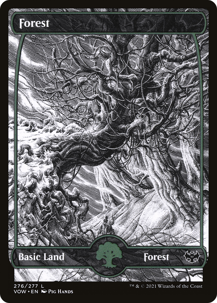 Forest (276) (VOW-276)  - Innistrad: Crimson Vow: (Showcase)