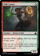 Wild Cantor (RVR-239)  - Ravnica Remastered
