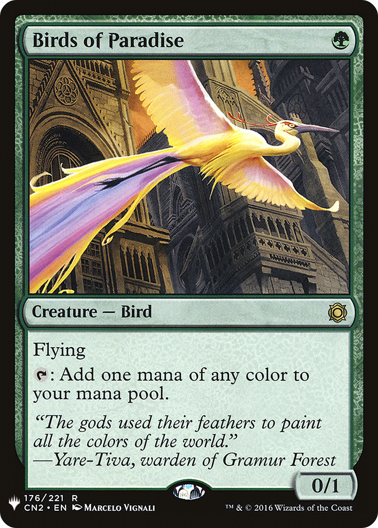 Birds of Paradise (LIST-176)  - The List