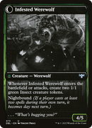 Infestation Expert (DBL-473)  Foil - Innistrad: Double Feature: (Double Faced Transform)