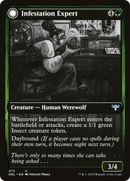 Infestation Expert (DBL-473)  Foil - Innistrad: Double Feature: (Double Faced Transform)