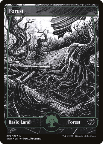 Forest (277) (VOW-277)  Foil - Innistrad: Crimson Vow: (Showcase)