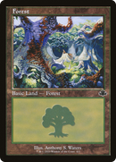 Forest (411) (Retro Frame) (DMR-411)  - Dominaria Remastered