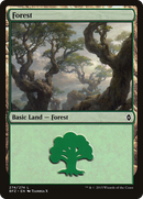 Forest (274) (BFZ-274)  - Battle for Zendikar