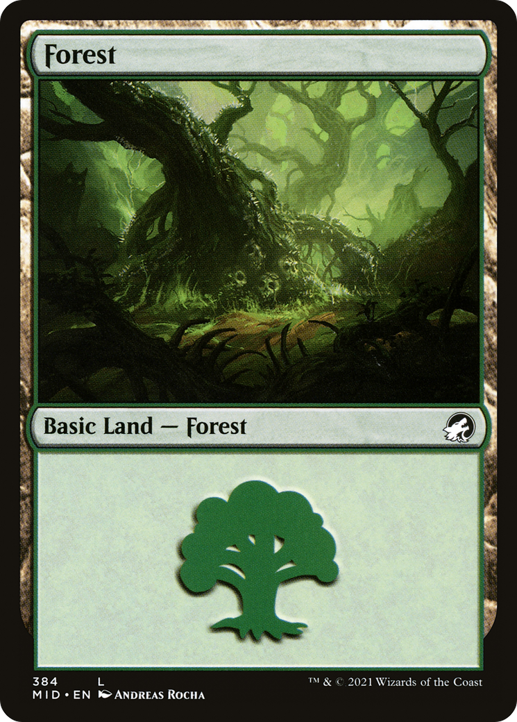 Forest (384) (MID-384)  Foil - Innistrad: Midnight Hunt