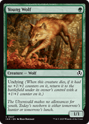 Young Wolf (INR-227)  - Innistrad Remastered