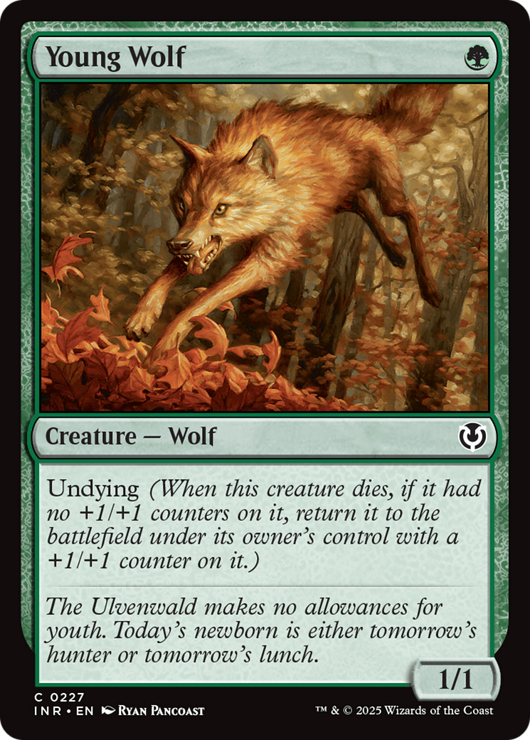 Young Wolf (INR-227)  Foil - Innistrad Remastered