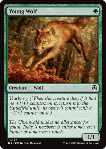 Young Wolf (INR-227)  Foil - Innistrad Remastered