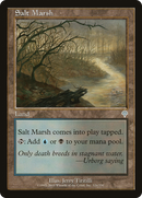 Salt Marsh (INV-326)  - Invasion