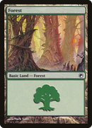 Forest (249) (SOM-249)  - Scars of Mirrodin