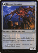Tangleclaw Werewolf (EMN-174)  Foil - Eldritch Moon: (mooneldrazidfc)