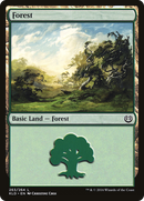 Forest (263) (KLD-263)  - Kaladesh