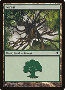 Forest (249a) (ZEN-249A)  - Zendikar