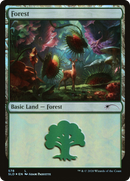Forest (578) (SLD-578)  Foil - Secret Lair Drop