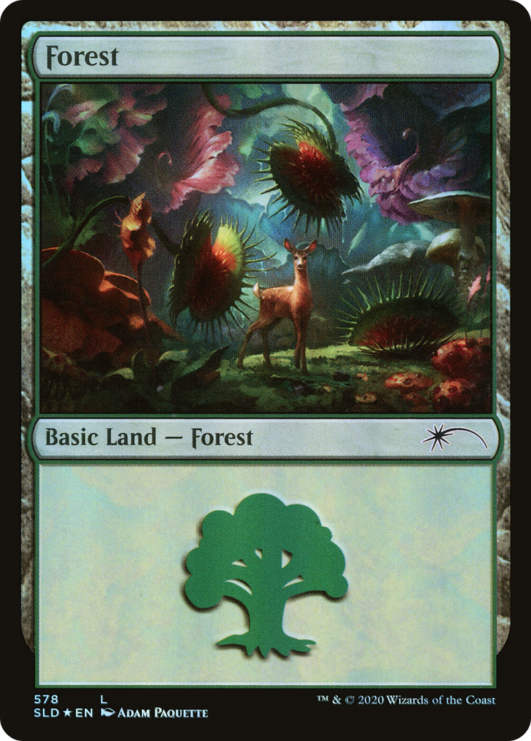 Forest (578) (SLD-578)  Foil - Secret Lair Drop