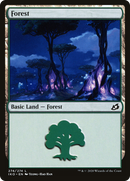 Forest (274) (IKO-274)  Foil - Ikoria: Lair of Behemoths