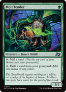 Molt Tender (DFT-171)  Foil - Aetherdrift