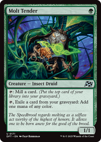 Molt Tender (DFT-171)  Foil - Aetherdrift