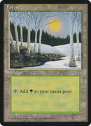 Forest (328) (ICE-328)  - Ice Age