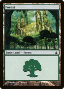 Forest (305) (RAV-305)  Foil - Ravnica: City of Guilds