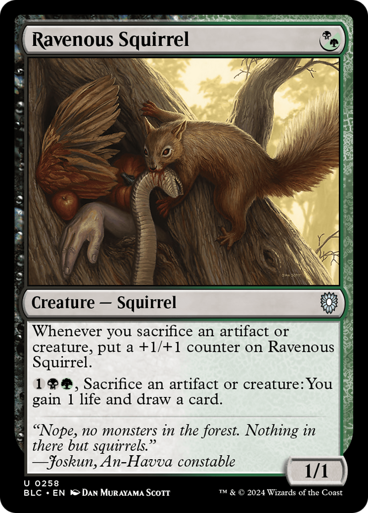 Ravenous Squirrel (BLC-258)  - Bloomburrow Commander