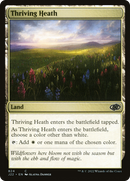 Thriving Heath (J22-824)  - Jumpstart 2022