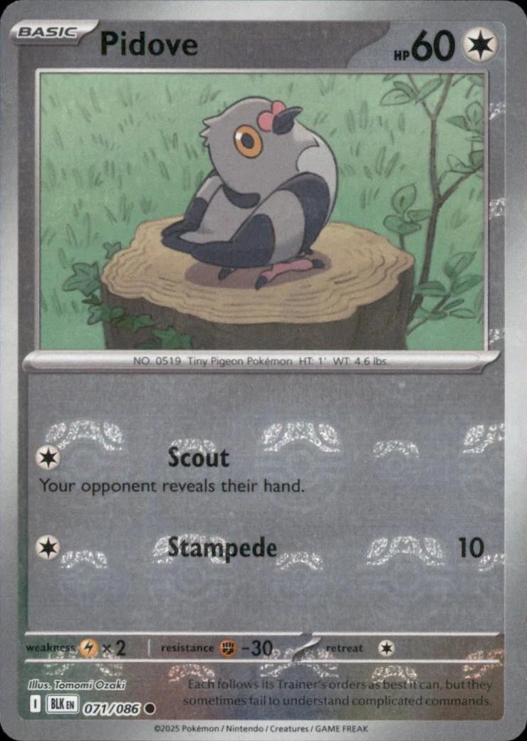 Pidove (Master Ball Pattern) 071/086  - Holofoil SV Black Bolt - Common