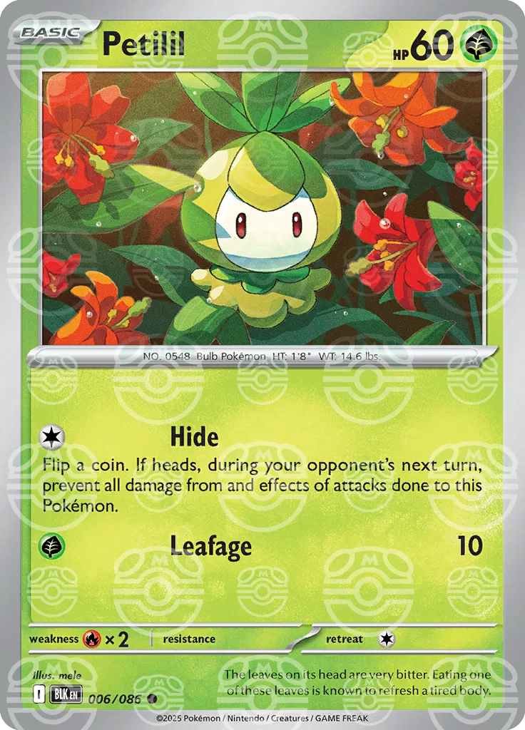 Petilil (Master Ball Pattern) 006/086  - Holofoil SV Black Bolt