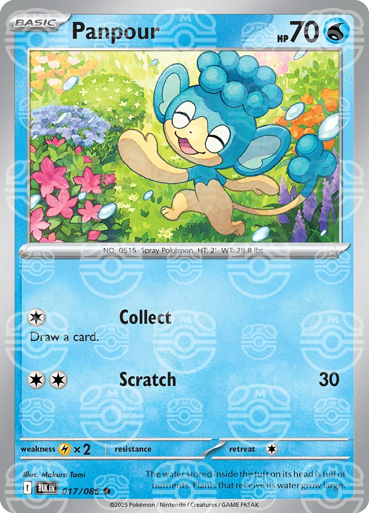 Panpour (Master Ball Pattern) 017/086  - Holofoil SV Black Bolt
