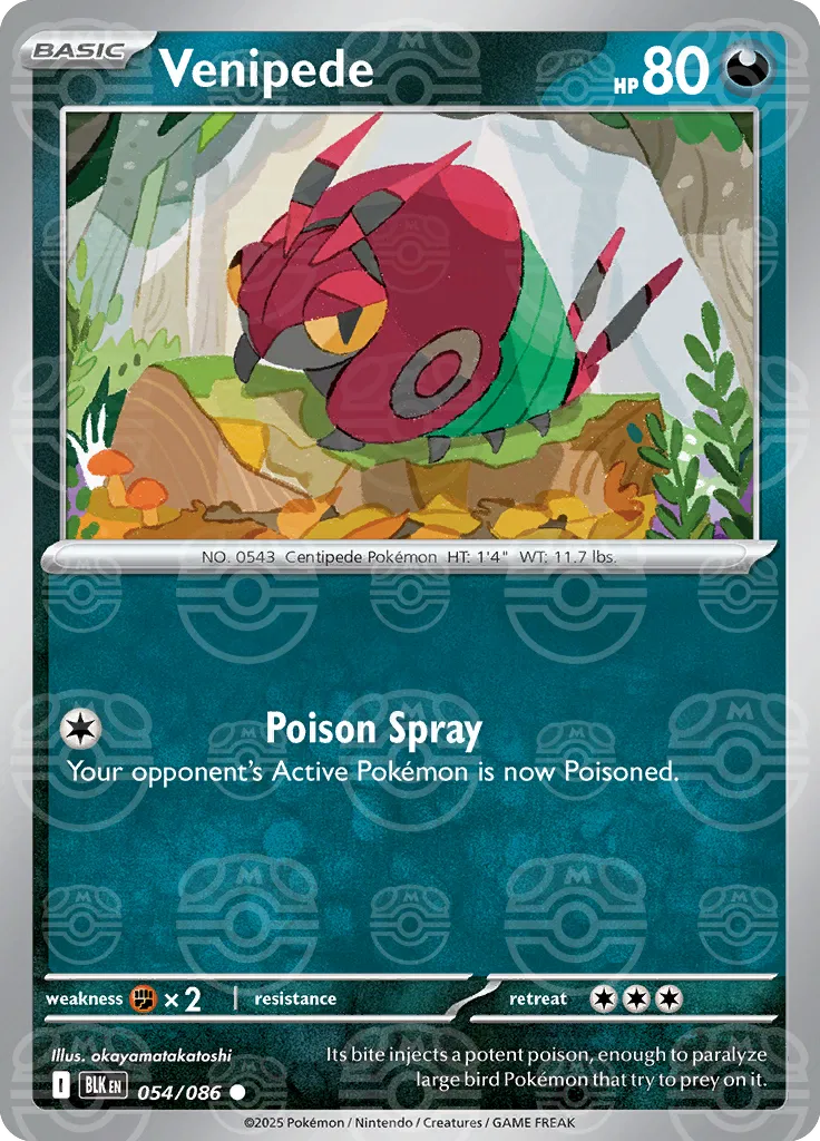 Venipede (Master Ball Pattern) 054/086  - Holofoil SV Black Bolt