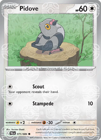 Pidove (Master Ball Pattern) 071/086  - Holofoil SV Black Bolt